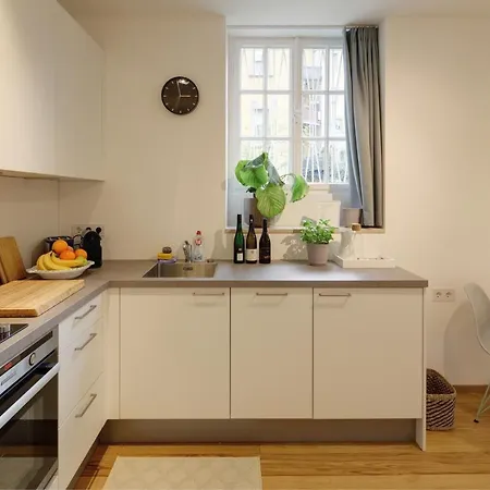 Boutique Apartments Freiburg - Elsa Buitenkant foto
