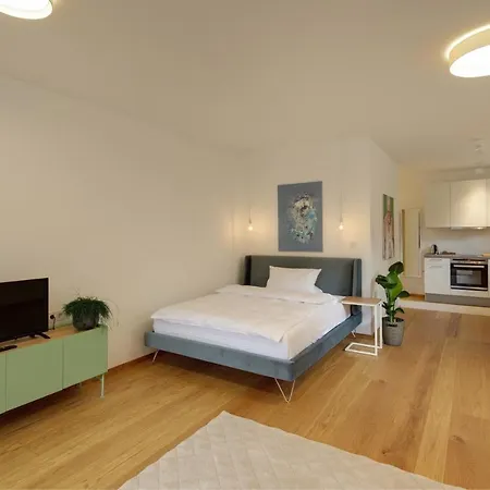 Boutique Apartments Freiburg - Elsa Buitenkant foto